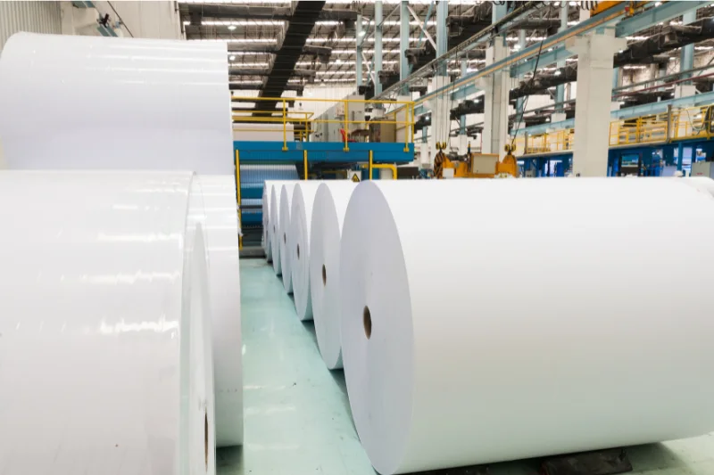 Pulp & Paper